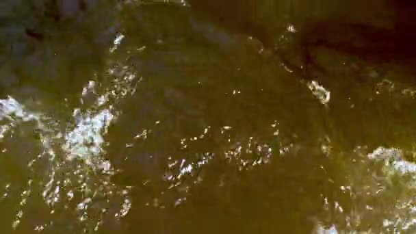 Turbulent Water Tight Shot Aerial Laurel Creek Damascus Virginia — Stock Video