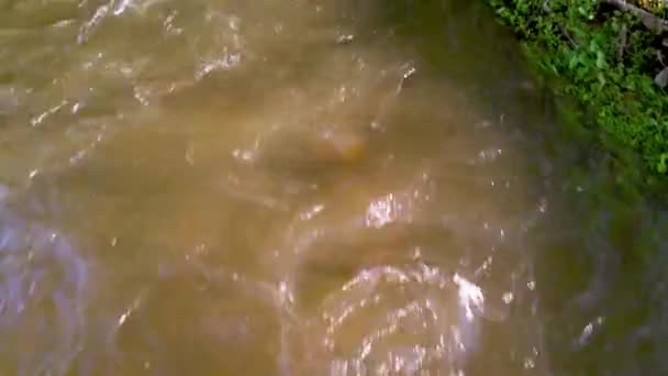 大马斯卡斯维吉尼亚空中推进河 — 图库视频影像
