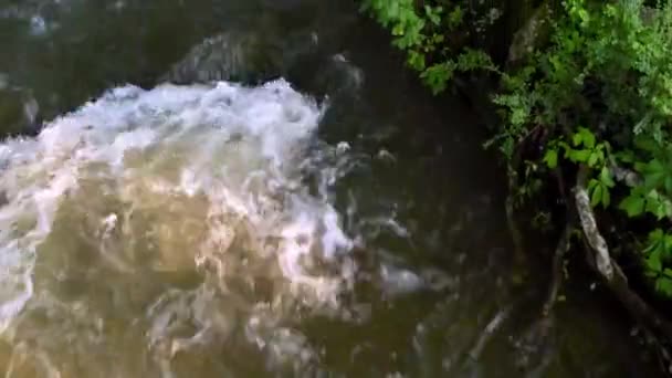 Eau Aérienne Déplaçant Rapidement Long Des Rives Ruisseau Laurel Damas — Video