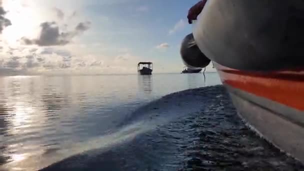 Kleines Motorboot Und Aufwachendes Gleiten Über Das Wasser Bei Perfekten — Stockvideo