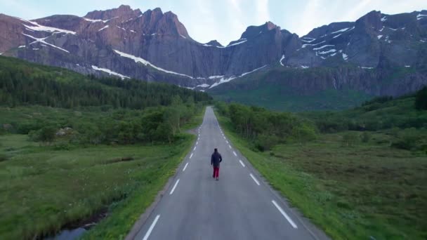 ロフトテン州ヌスフィヨルドの有名な山壁の景色を望む空の道を一人で歩く観光客 — ストック動画