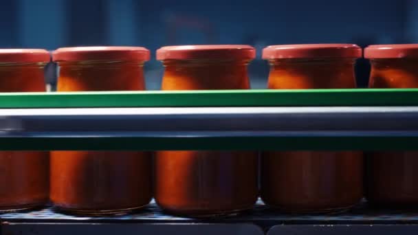 Planta Enlatadora Tomate Frascos Comida Transportador Línea Automática Para Procesamiento — Vídeo de stock
