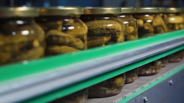 Sebzelerin Korunması Salatalıkları Işlemek Muhafaza Etmek Için Bir Sanayi Hattı — Stok video