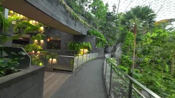 シンガポールのチャンギ空港緑のクローズアップビュー空港ガーデンパス徒歩 — ストック動画