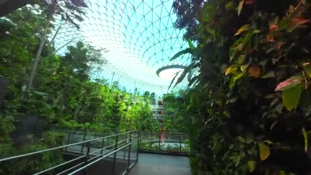 Changi Aeropuerto Más Verde Vista Cerca Singapur Aeropuerto Jardín Amplio — Vídeos de Stock