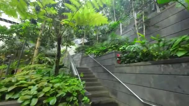 Changi Airport Greener Closeup View Singapore Airport Garden Starirs — Stock Video