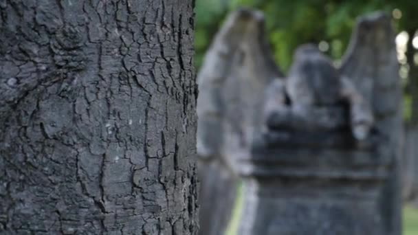 Close Estátua Anjo Chorando Lápide Cemitério Inglaterra — Vídeo de Stock