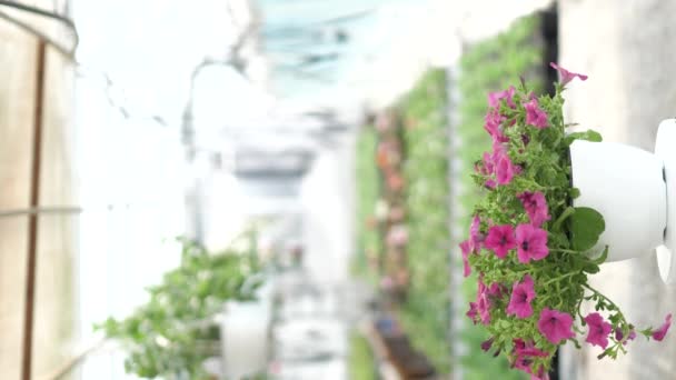 Vídeo Produto Vertical 360 Graus Com Flores Fundo Embaçado — Vídeo de Stock