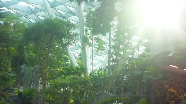 Changi Airport Greenery Garden Wide View Singapore — Stock Video