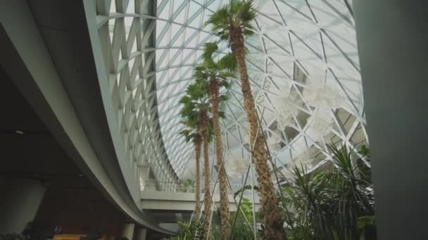 Árboles Verdes Del Aeropuerto Changi Arriba Abajo Amplia Vista Singapur — Vídeos de Stock