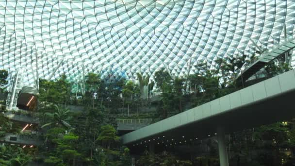 Changi Aeropuerto Verde Jardín Arriba Abajo Vista Cerca Singapur — Vídeos de Stock