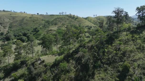 Voo Para Frente Lento Sobre Cenário Verde Floresta Rural República — Vídeo de Stock