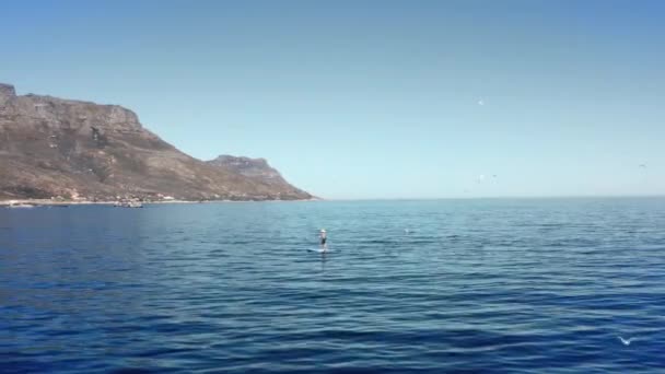 Man Paddling Sup Encounters Whale Breaching Wildlife Encounter Open Ocean — Stock Video