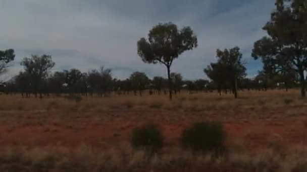 Vzato Okna Auta Které Cestuje Odlehlé Australské Vedlejší Silnici — Stock video