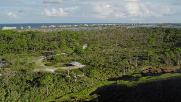 Аэросъемка Густого Естественного Леса Флориды Парком Беседкой Тропами Посередине — стоковое видео