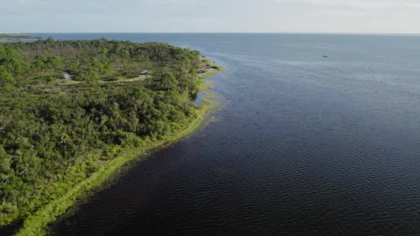 Ampia Ripresa Aerea Fitta Foresta Naturale Lungo Bordo Una Baia — Video Stock