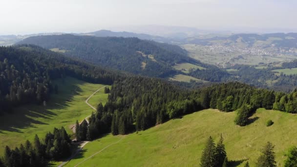 Sentieri Escursionistici Sul Pendio Della Montagna Wildspitz Svizzera Vista Aerea — Video Stock