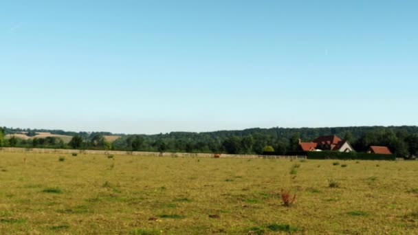 Den Wiesen Von Mapledurham Und Purley Der Themse Ein Schöner — Stockvideo