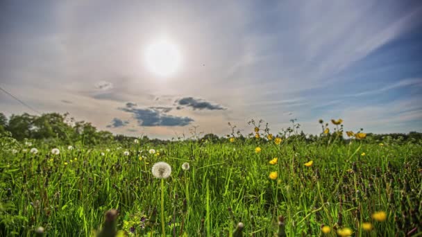 Baixo Ângulo Tiro Sol Halo Céu Durante Dia Timelapse Com — Vídeo de Stock