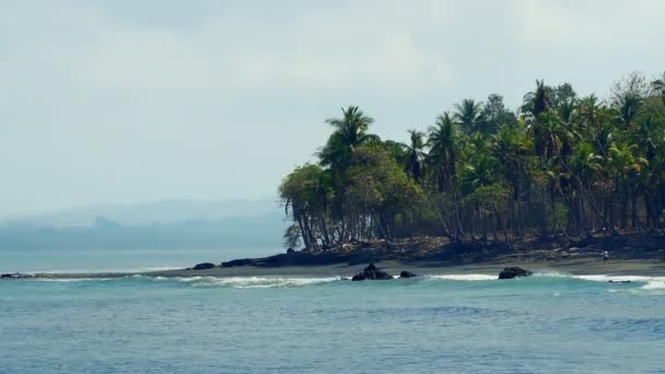 Amplio Estático Brote Una Increíble Playa Con Selva Palmeras Pavones — Vídeos de Stock