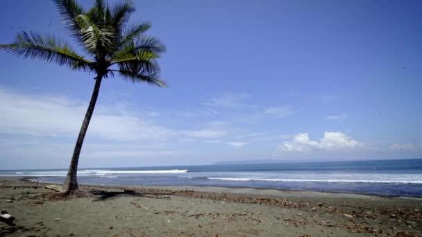 Statyczna Sesja Niesamowitej Plaży Dżungli Pavones Kostaryka Podczas Gorącego Letniego — Wideo stockowe
