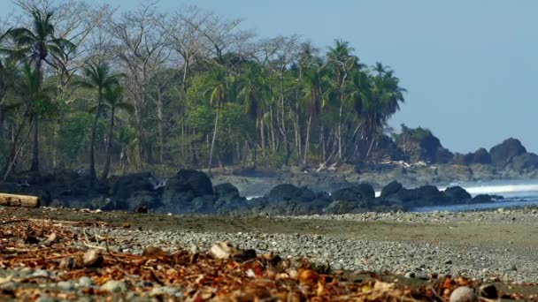 Statische Aufnahme Eines Unglaublichen Strandes Mit Dschungel Pavones Costa Rica — Stockvideo