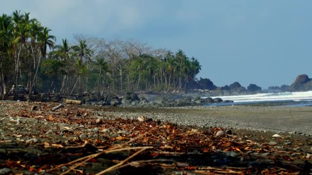 Statyczna Sesja Niesamowitej Plaży Dżunglą Pavones Kostaryka Podczas Gorącego Letniego — Wideo stockowe