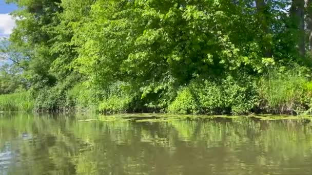 Långsam Rörelse Skott Längs Flod Sommaren Visar Den Frodiga Gröna — Stockvideo