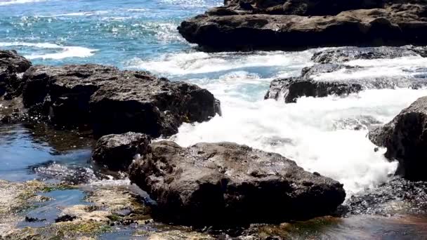 大浪冲撞着崎岖的太平洋西北海岸线 — 图库视频影像