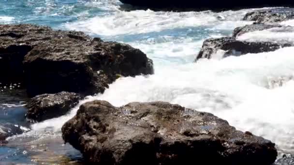 Refrescantes Salpicaduras Mares Fríos Sobre Rocas Escarpadas Noroeste Del Pacífico — Vídeos de Stock