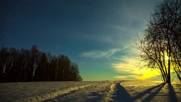 Timelapse Tiro Trilhas Carro Neve Branca Coberta Durante Temporada Inverno — Vídeo de Stock