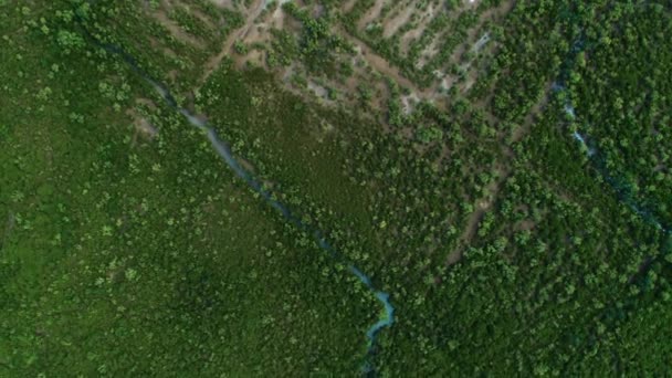 达累斯萨拉姆市红树林沼泽的鸟瞰图 — 图库视频影像