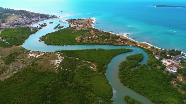 Widok Lotu Ptaka Bagna Mangrowe Miasto Dar Salaam — Wideo stockowe