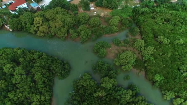 达累斯萨拉姆市红树林沼泽的鸟瞰图 — 图库视频影像