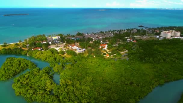 Vue Aérienne Des Marais Mangrove Ville Dar Salaam — Video