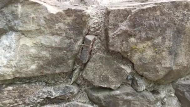 Tüm Duvarları Yıkılmış Eski Kale Avrupa Antik Kale — Stok video