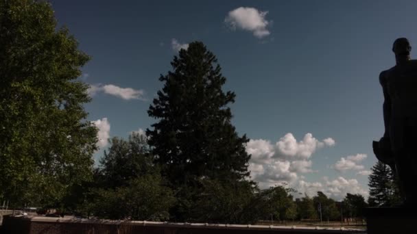 ミシガン州立大学の東ランシング校にあるスパルタン像で 右にビデオ パンニングが残されている — ストック動画