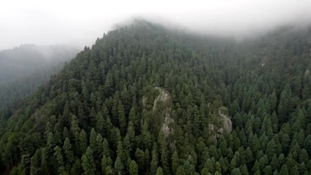Receding Drone Shot Forests Surrounding Mexico City Cloudy Sunrise — Stock Video