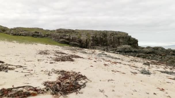 Skoçya Deniz Yosunlarıyla Kaplı Kumlu Bir Plajda Yavaşça Ilerlerken Kayaların — Stok video