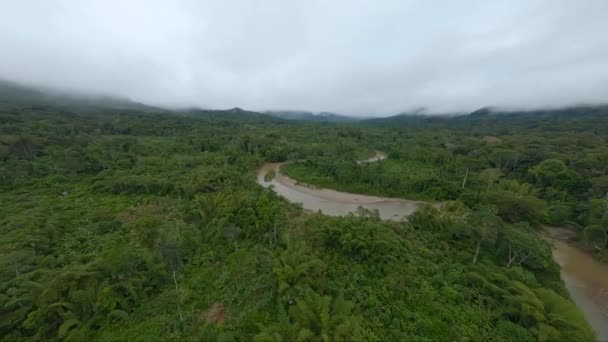 Aerial Riser Revela Río Serpenteante Atravesando Exuberante Selva Amazónica — Vídeo de stock