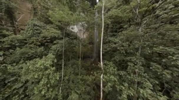 Fpv Flygning Genom Djungelträd Mot Avlägsna Vattenfall Amazon — Stockvideo