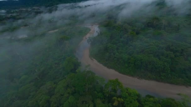 Fpv Drone Mistig Amazone Regenwoud Met Meanderende Rivier — Stockvideo