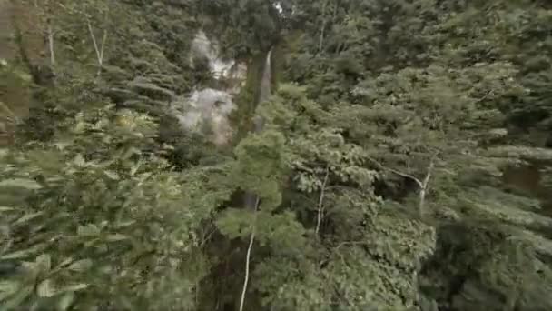 Primera Persona Ver Vuelo Drones Través Selva Amazónica Para Cascada — Vídeo de stock