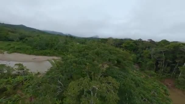 Zawrotny Lot Dronem Fpv Szczycie Korony Drzew Wzdłuż Rzeki Amazońskim — Wideo stockowe