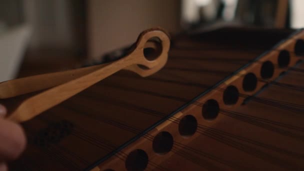 低音古典乐器 传统音乐 极近的弦乐敲击声 — 图库视频影像