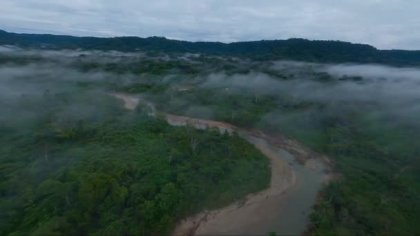 Ködös Szeszélyes Reggel Amazonasi Esőerdőben Emelkedett Fpv Drón — Stock videók