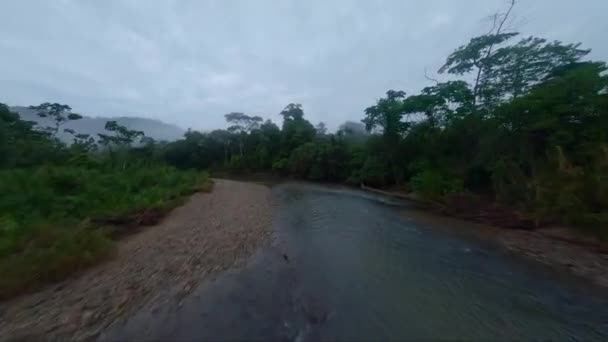 Emocionante Vuelo Drones Fpv Largo Del Río Mañana Brumosa Selva — Vídeo de stock