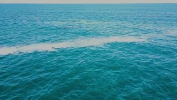 Vol Drone Vers Une Baleine Flottante Expirant Violemment Côte Hermanus — Video