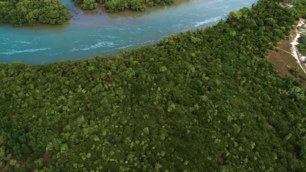 Flygfoto Över Mangroveträsk Staden Dar Salaam — Stockvideo