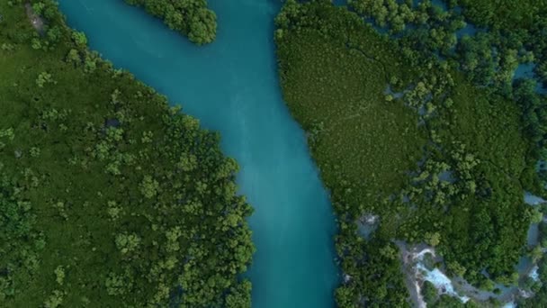 Luchtfoto Van Mangrove Moerassen Stad Van Dar Salaam — Stockvideo